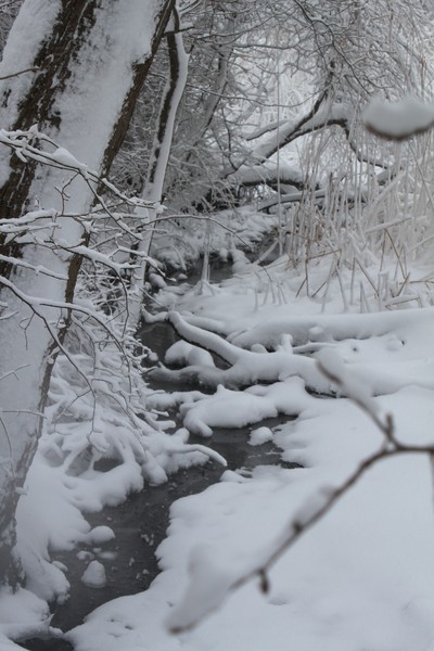 Stillness
