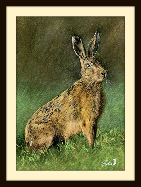 'Hare'