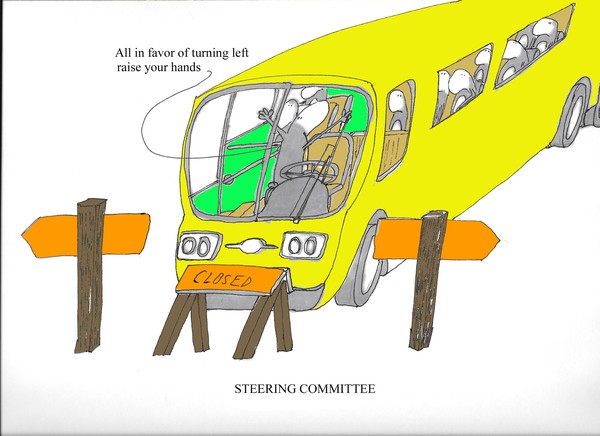 steering committee
