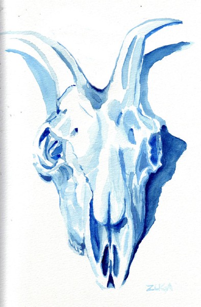 Goat Skull 1