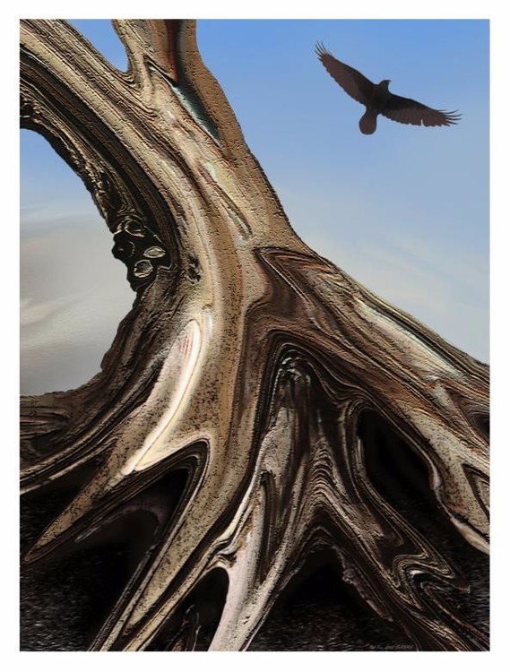 Old Tree