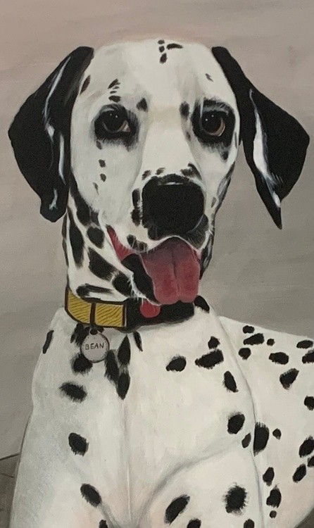 Bean