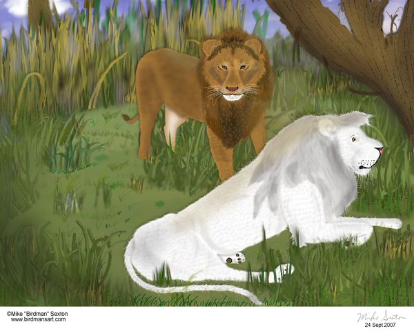Lion Brothers