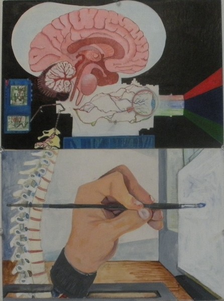 How we see.