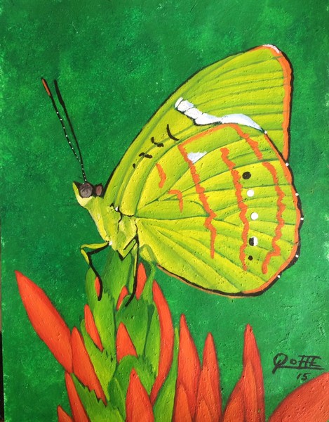 NESSAEA AGLAURA