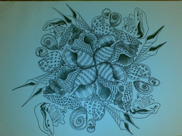 shells