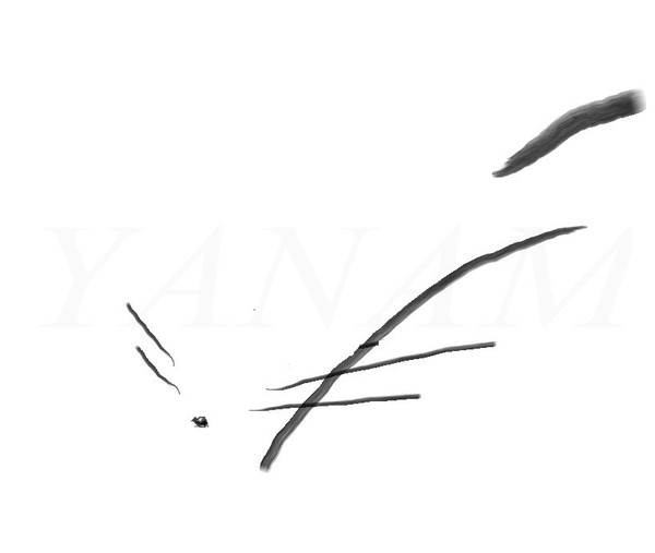 cat5