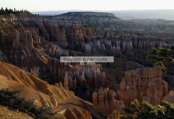 White Spires in Bryce Canyon