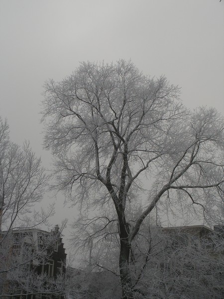 winter 09