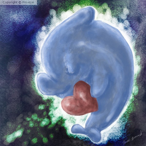 Dolphin Heart
