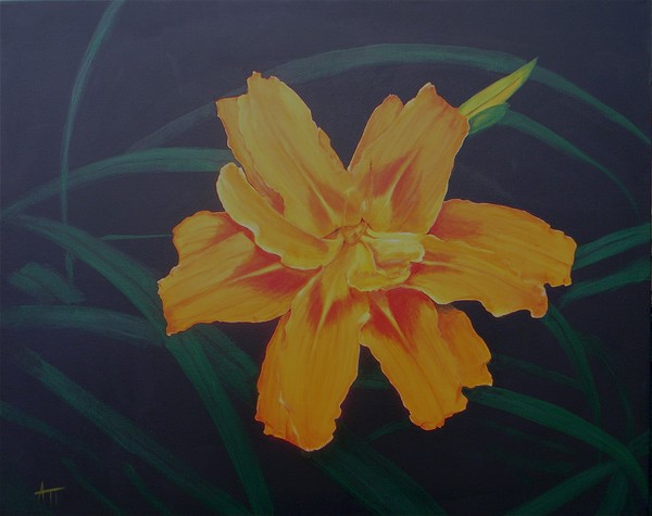 Tiger Lily