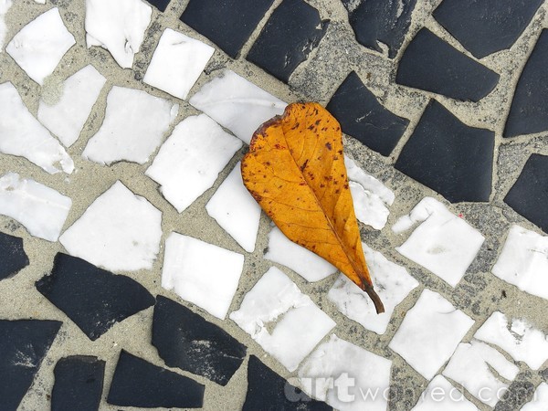 autumn leaves