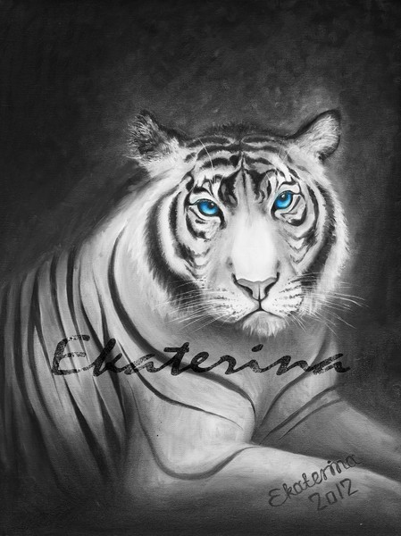 Tiger 24