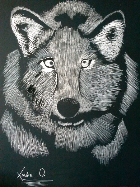 wolf face