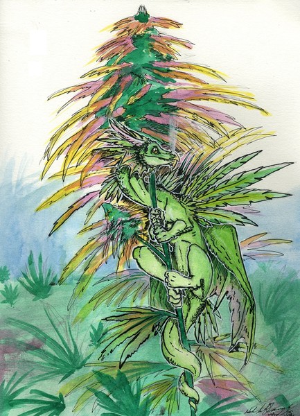Grass Dragon