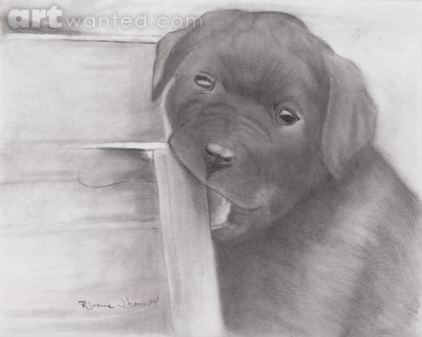 Pup