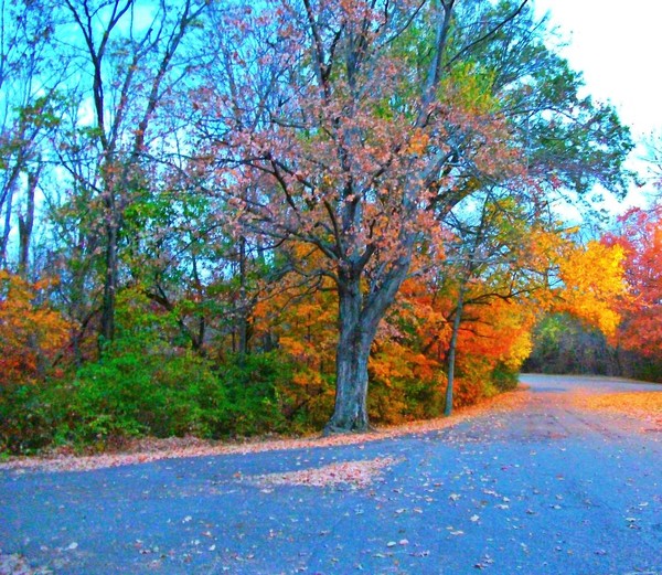 Beautiful Fall Drive