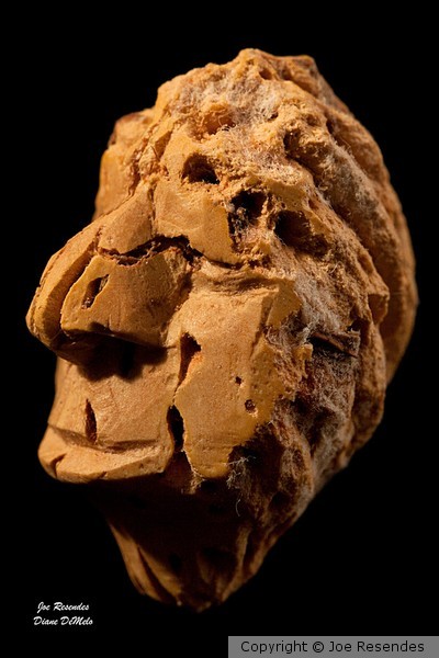 Carved Peach Pit: At Ease