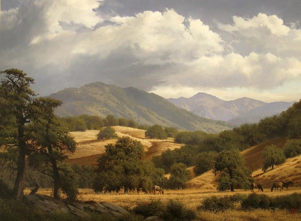 Summer in the foothills