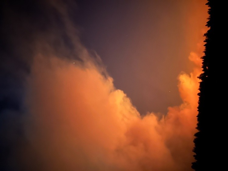 forest fire 