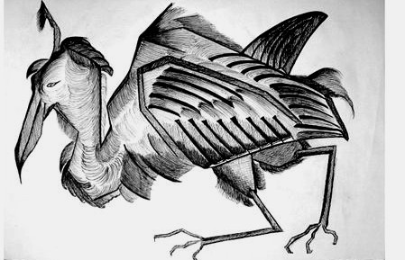 bird