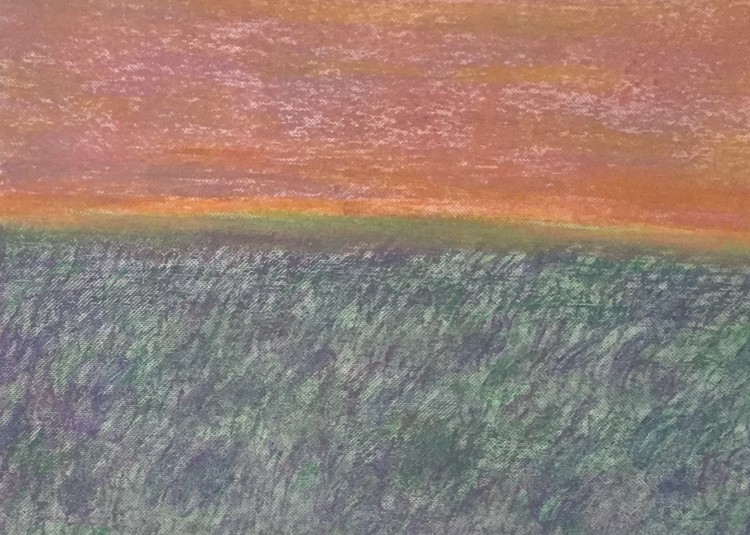 Sunset over lavender field
