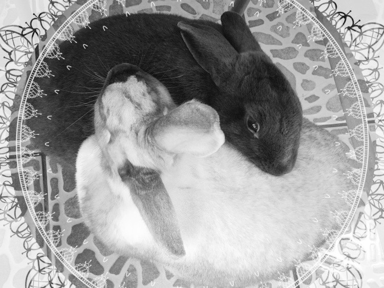 Karen Muro real love, amor real