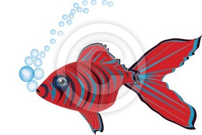 cartoon fish