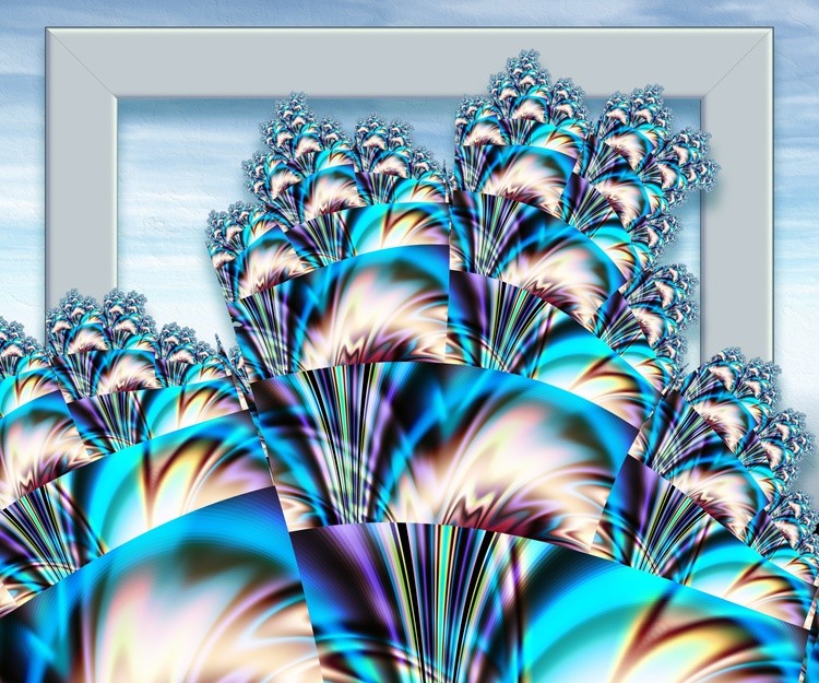 Framed flowers