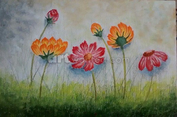 Colorful cosmos