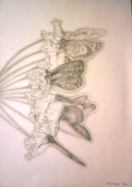 Butterflies in the silence