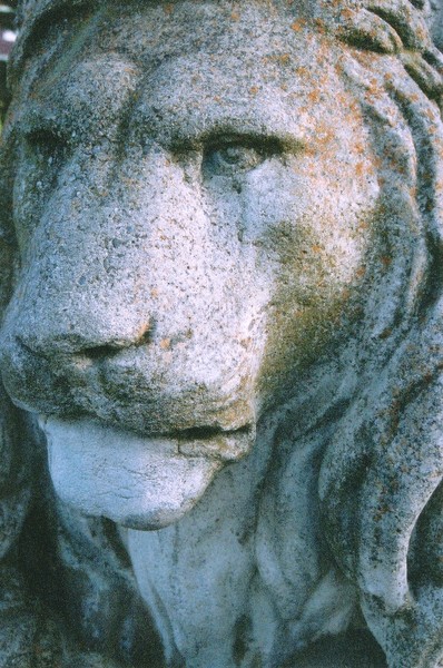 Aslan