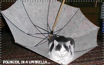 -Umbrella