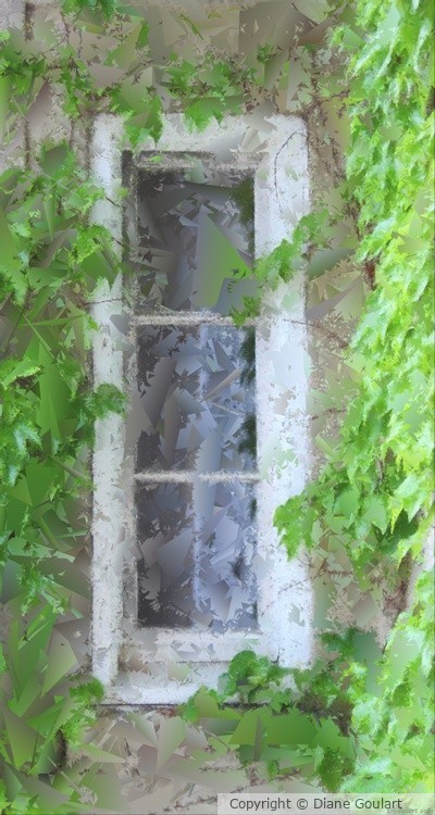 Window and Vines