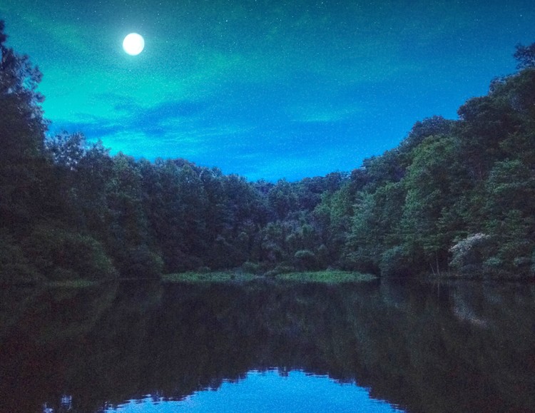 Moon in the Blue Hour 