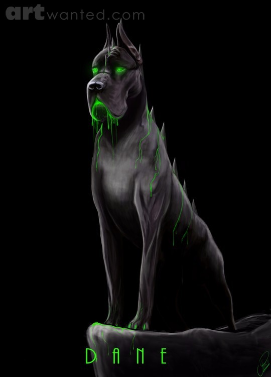 Dane