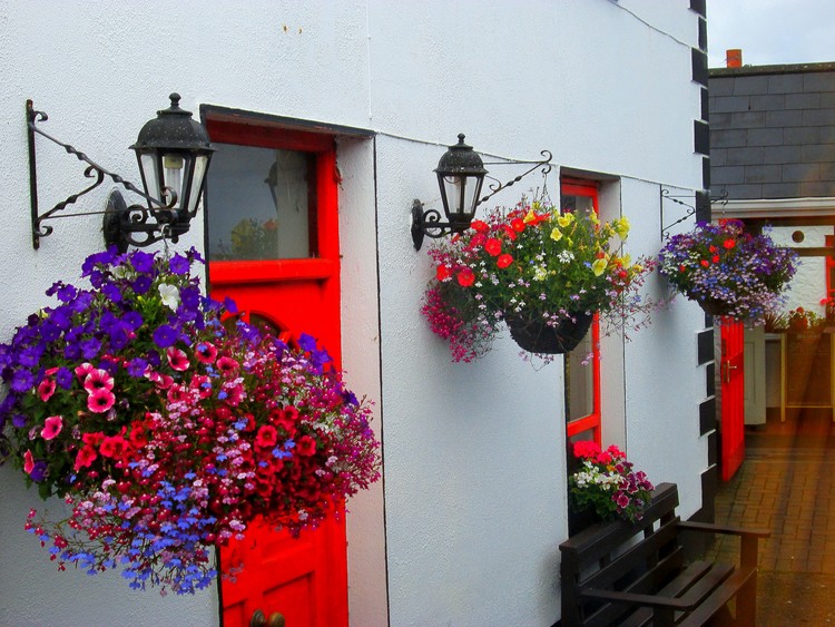 Cottage in Ireland