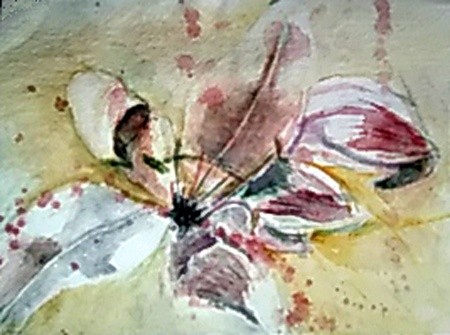 Belladonna Lily Watercolor