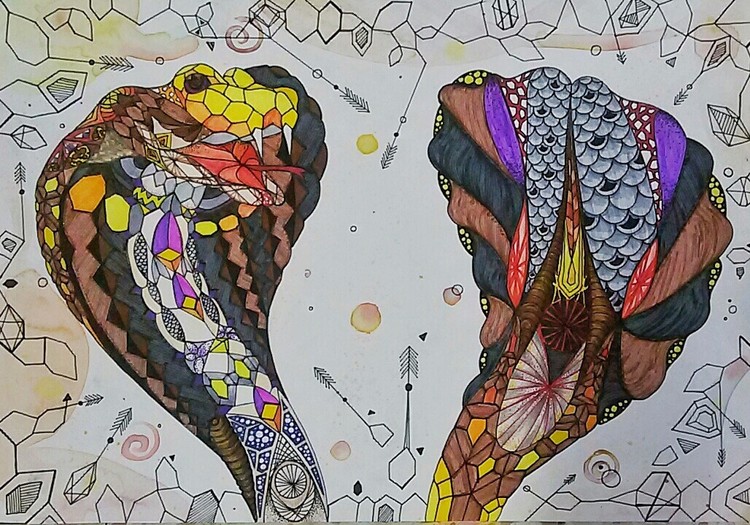 the beauty of geometry