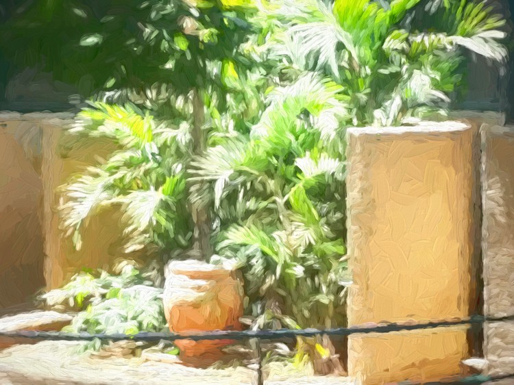 The Raanana Park 5