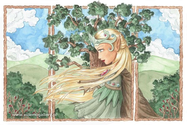 ancient tree