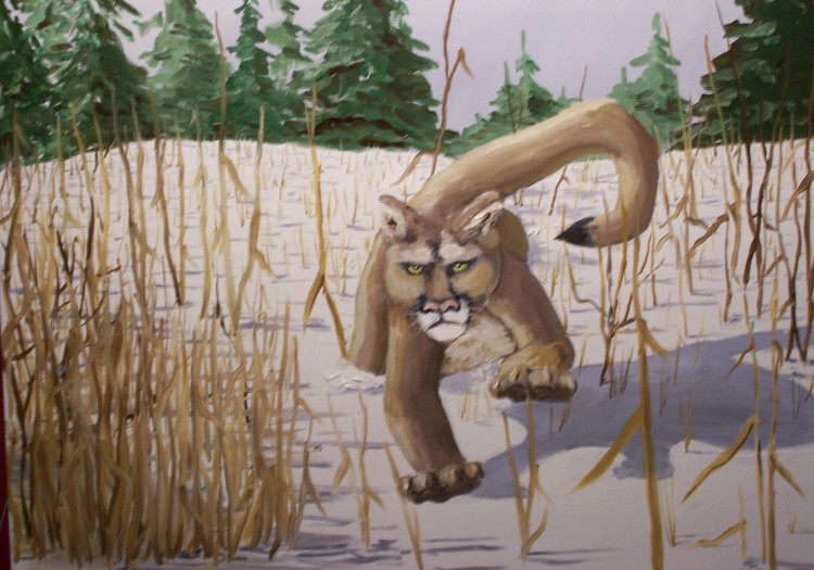 snow cougar 1