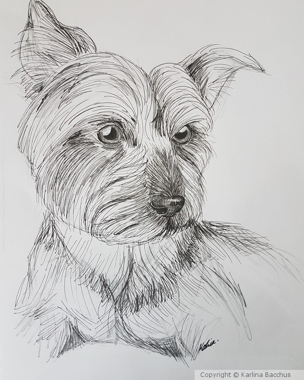 Dog Portrait