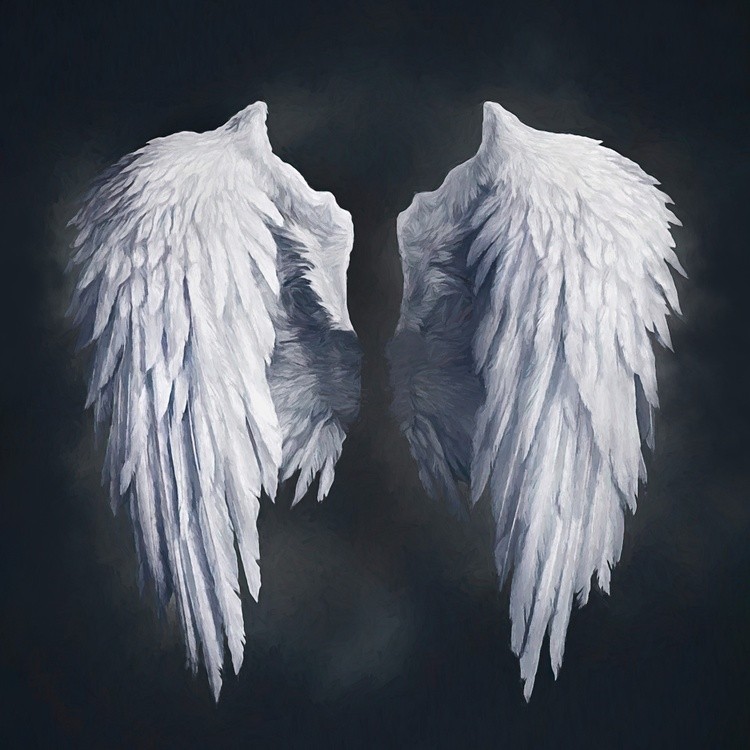8640xrealistic wings