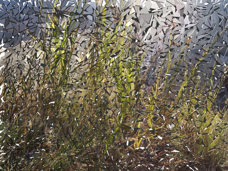 Shattered Tall Grass