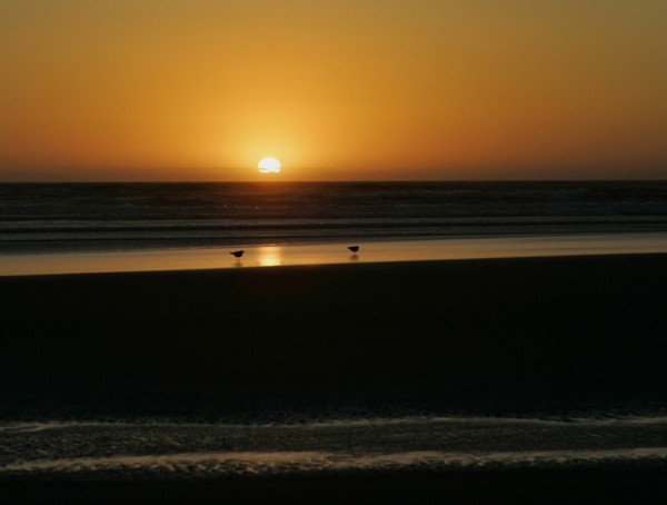 Guarded Sundown