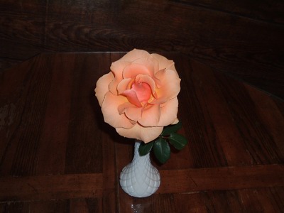 Coral Rose