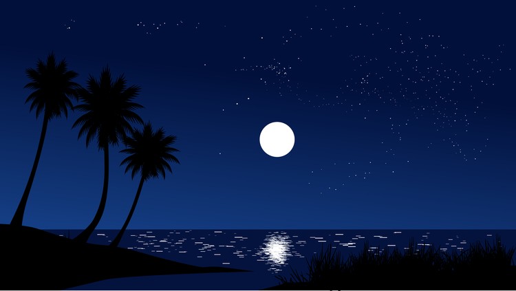 midnight beach