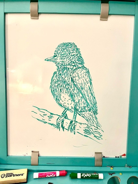 Bird on Branch