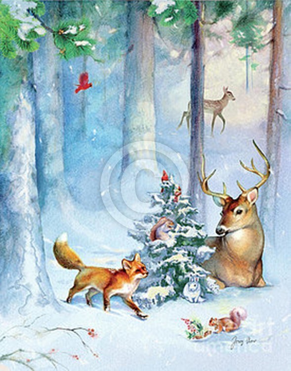 Nature's Season